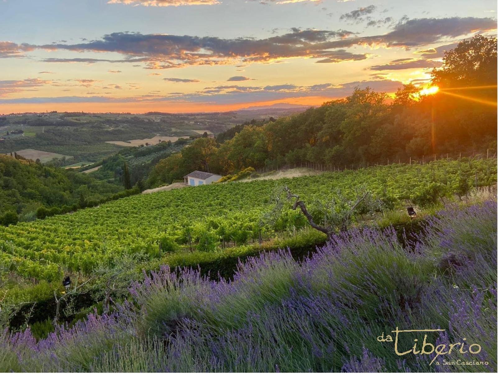 Villa I Barronci Resort&Spa San Casciano in Val di Pesa Esterno foto
